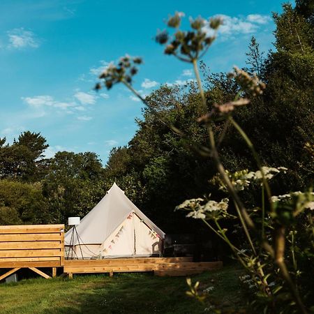 Willow Valley Glamping Bude Extérieur photo